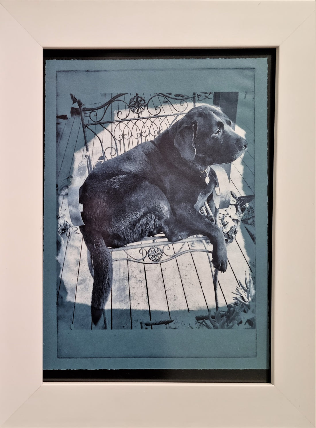 Blue Mountains Print Prize 2021 - Lisa Haldane