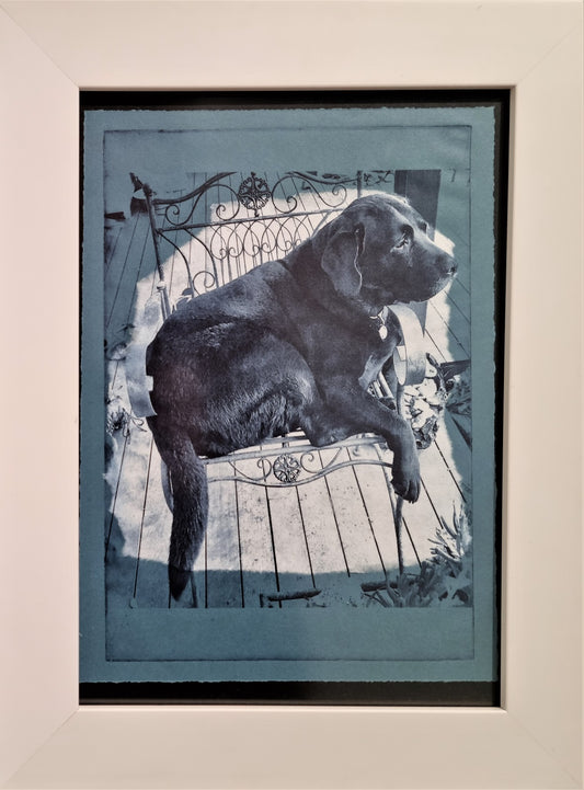 Blue Mountains Print Prize 2021 - Lisa Haldane