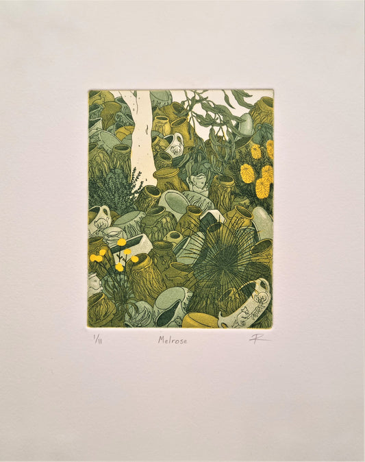  Blue Mountains Print Prize 2021 - Artwork Reminiscence - Melrose by Ruth Stanton