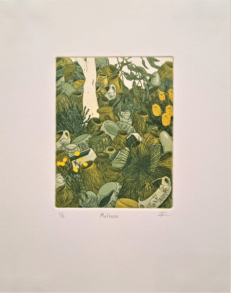 ﻿ Blue Mountains Print Prize 2021 - Artwork Reminiscence - Melrose by Ruth Stanton