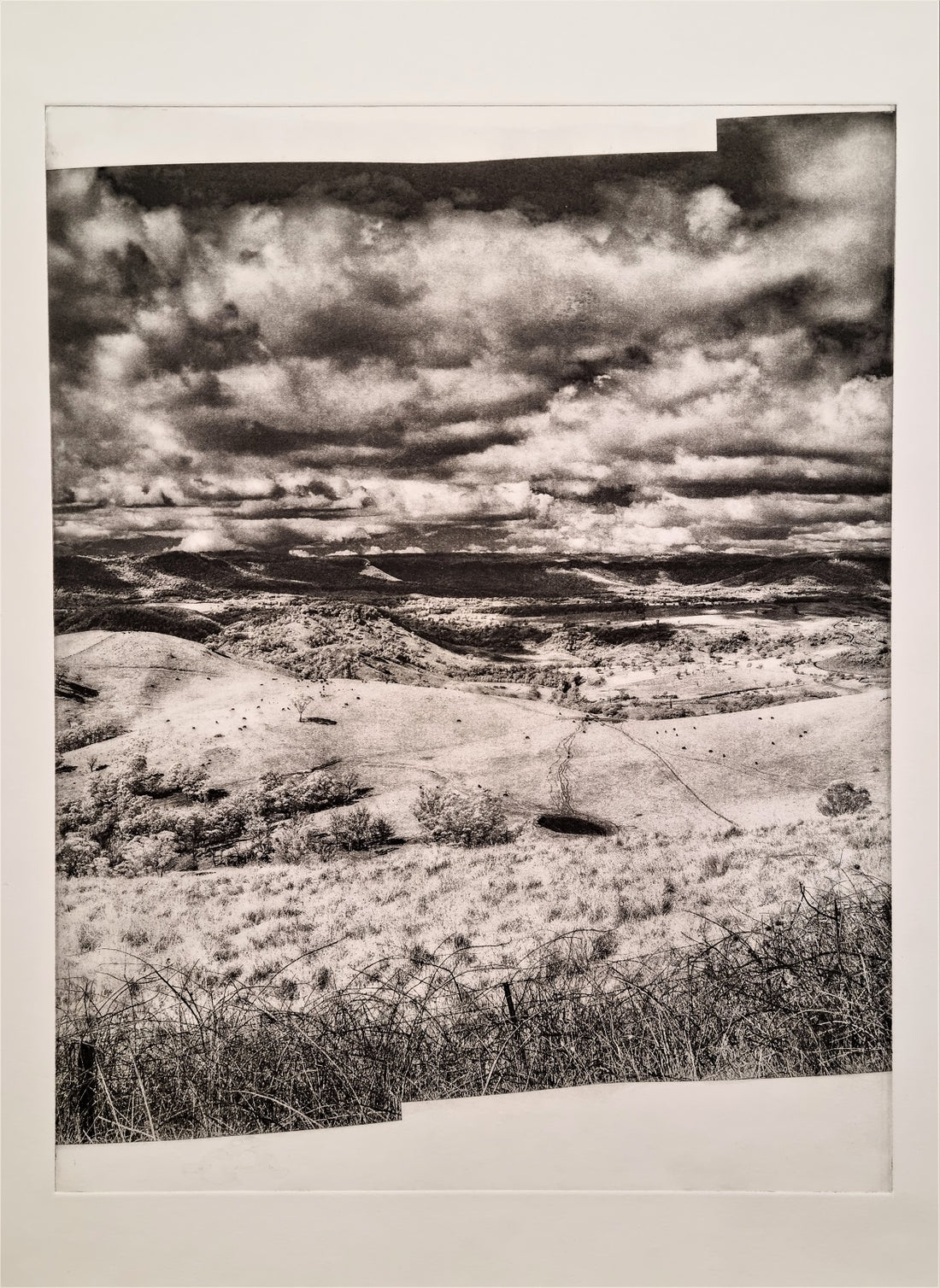 ARTWORK REMINISCENCE - BLUE MOUNTAINS PRINT PRIZE 2021