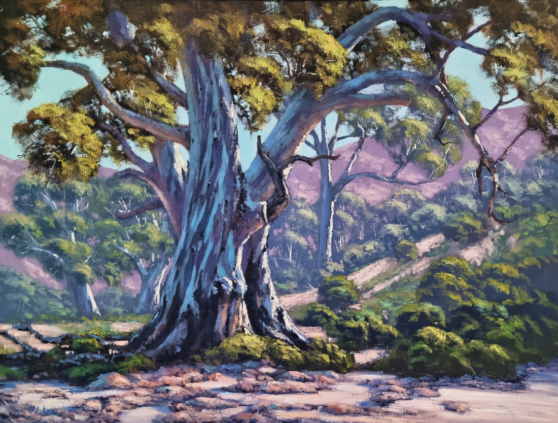 In the Flinders Ranges by John Rice - Available at Gallery NWC!