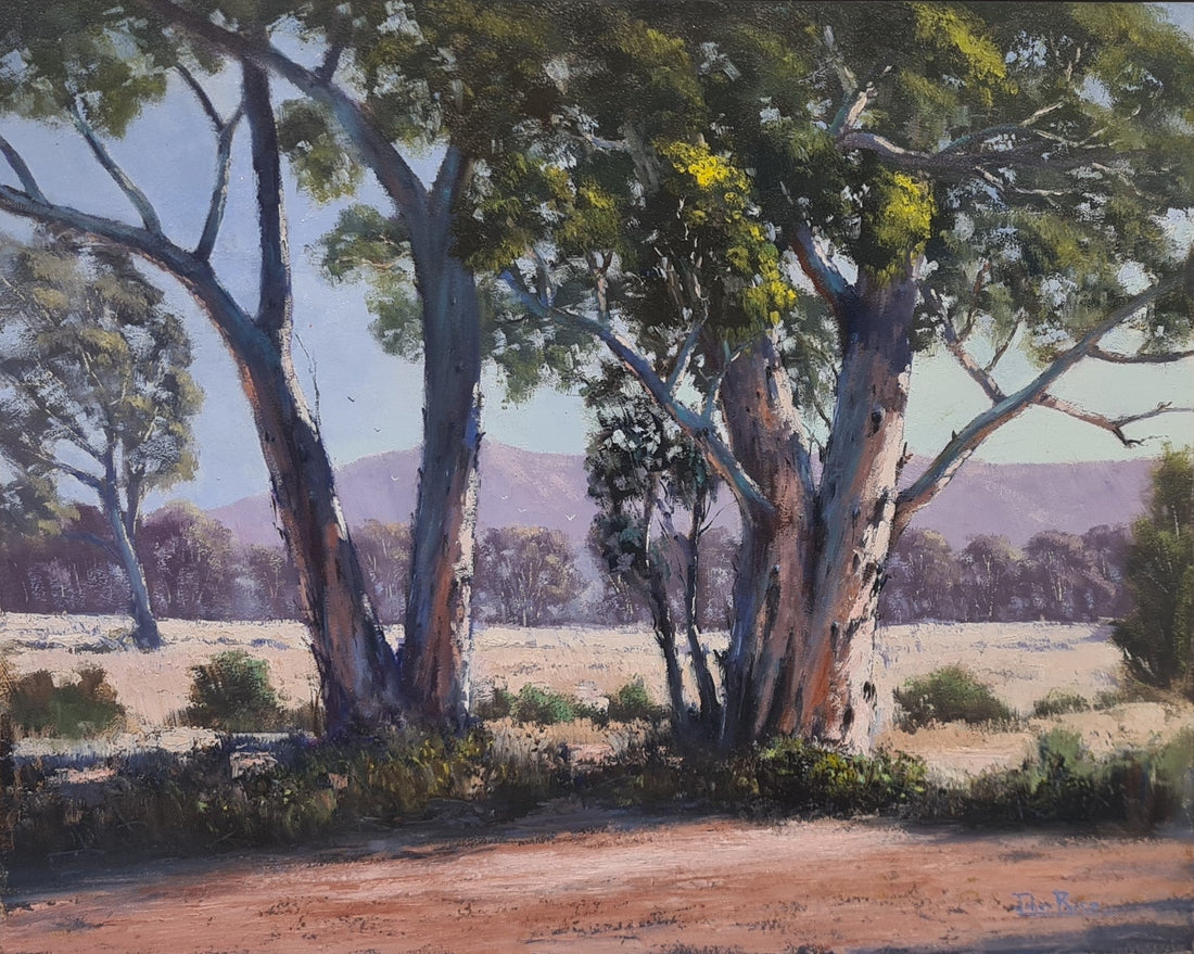 Gums in the Red Centre by John Rice, currently displayed upstairs at Gallery NWC.