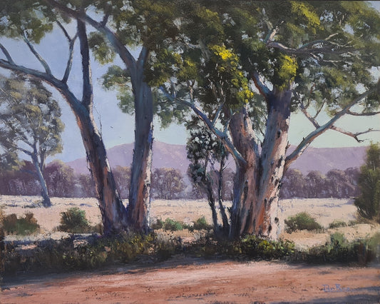 Gums in the Red Centre by John Rice, currently displayed upstairs at Gallery NWC.