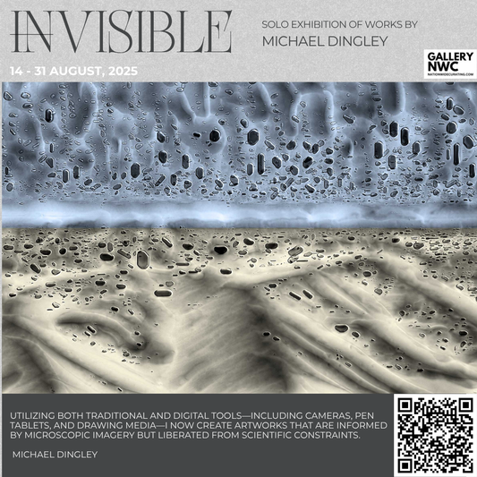 OPENING CELEBRATION TODAY! (IN)VISIBLE by Michael Dingley