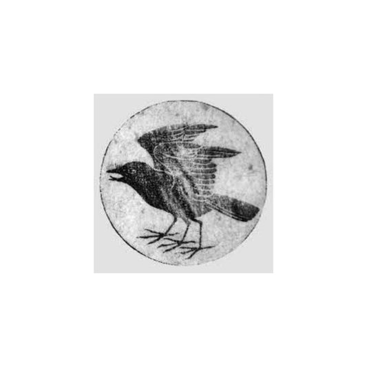 SPONSOR IN THE SPOTLIGHT - BLACK BIRD PAPER