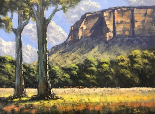 Beneath the Cliffs Glen Davis by John Rice - Available through Nationwide Curating