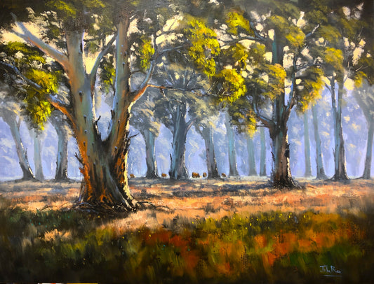 SOLD - Cattle in the Forest by John Rice