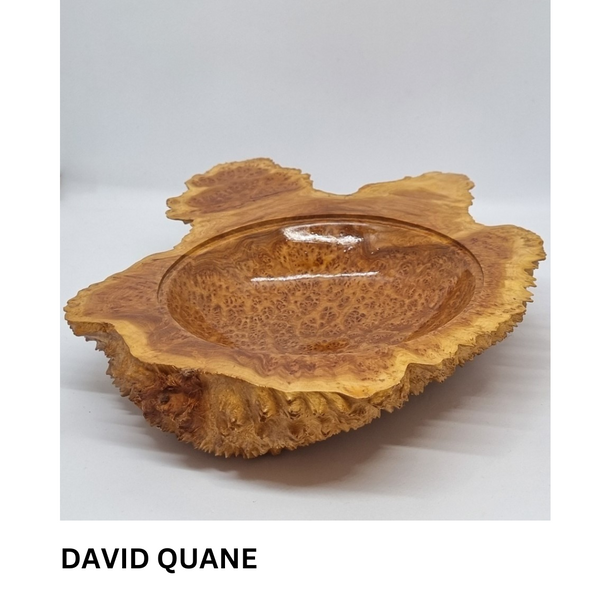 New Artist - David Quane