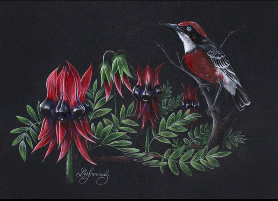 NEW ARTWORK BY LISA KENNEDY - GALLERY NWC: ST LEONARDS