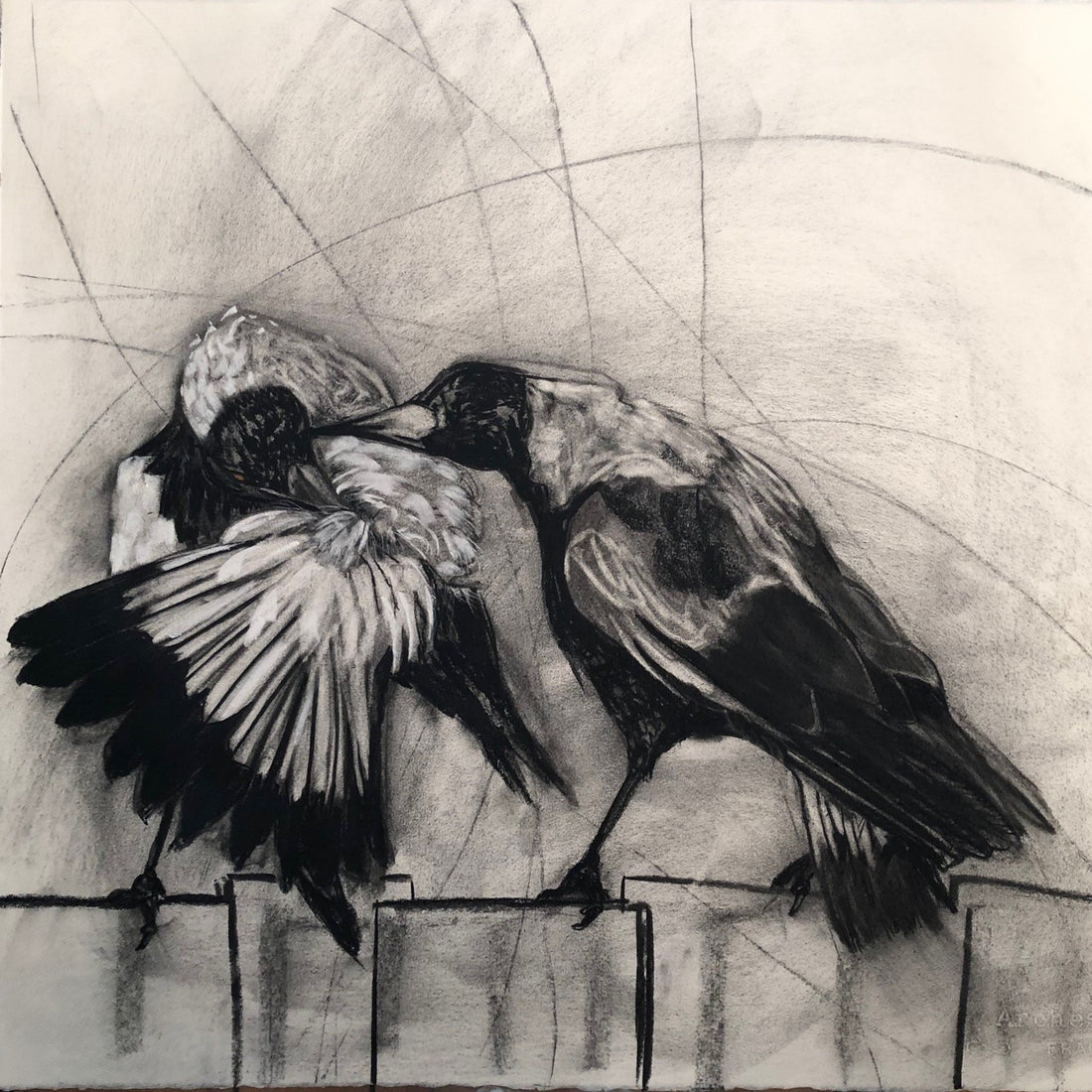 WELCOME FIONA JOHNSON, NEW ARTIST OF GALLERY NWC