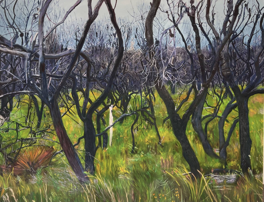 LISA LEE - Flora after Bushfire