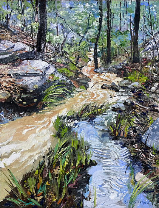 Dual Source by Shirley Peters currently on display- Gallery NWC