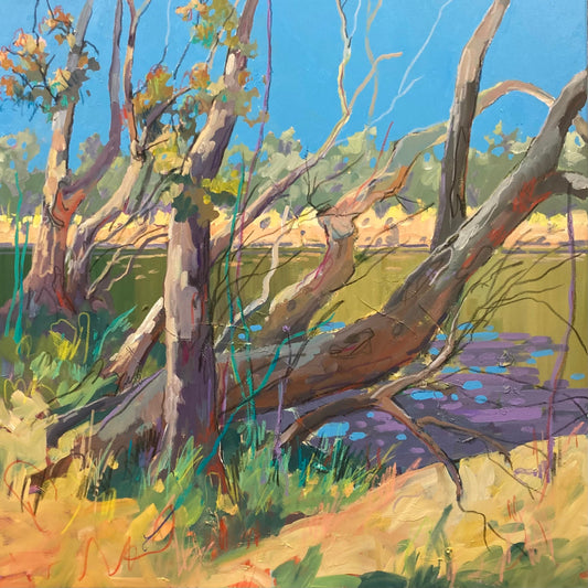 Murray River Tranquility by Julie Simmons