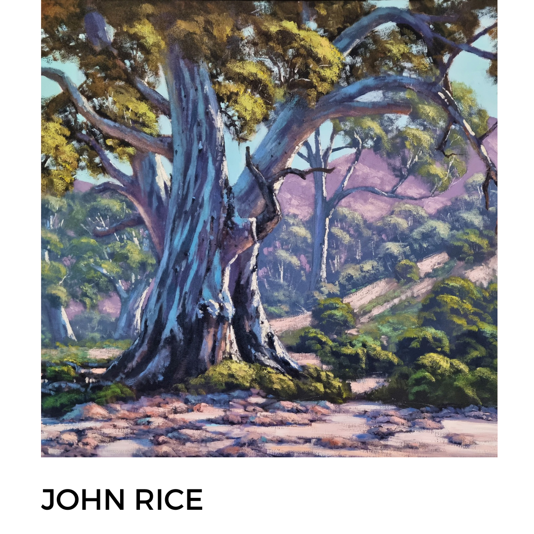 JOHN RICE AT GALLERY NWC: ST LEONARDS