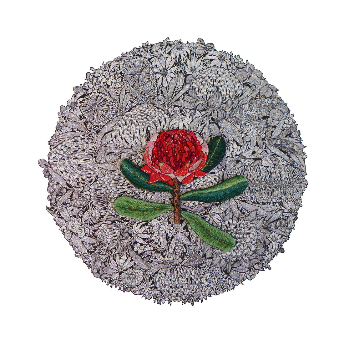 Get Up Close & Personal - Meet artist Jack Buckley tonight at 5pm