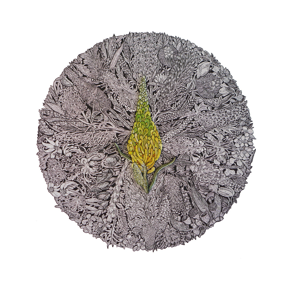 Affordable Art Fair artist Jack Buckley - Gallery NWC - Stand 1 B:3