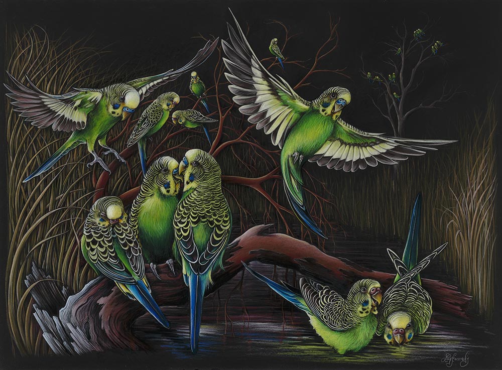 SOLO EXHIBITION BY LISA KENNEDY - NOW OPEN