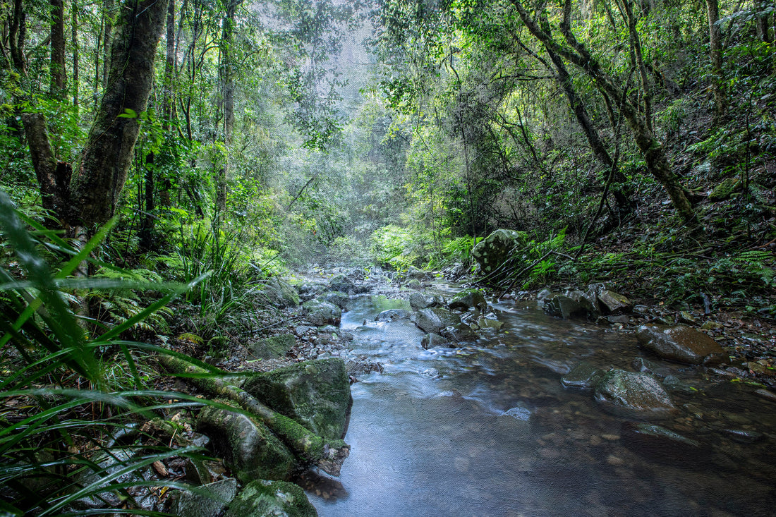 Sharpes Creek (detail), by Allan Coker