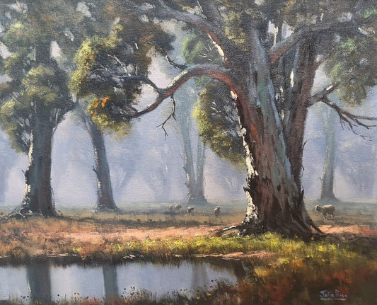A collection of works by John Rice is currently hanging in Gallery 1 of Gallery NWC.