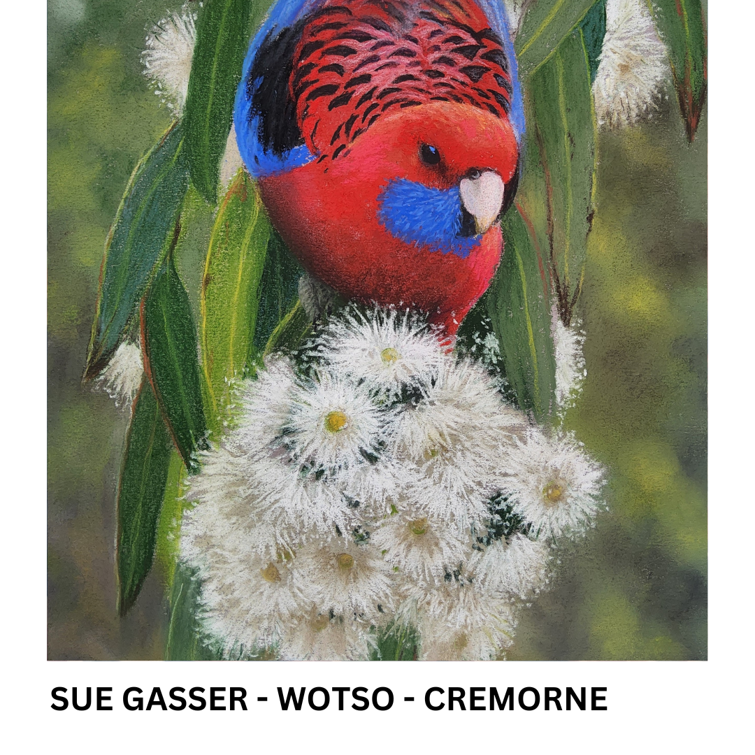FINAL HOURS - WOTSO HOSTED EXHIBITIONS - BEFORE NEXT ROTATIONS
