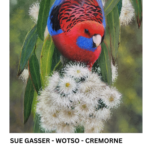 FINAL HOURS - WOTSO HOSTED EXHIBITIONS - BEFORE NEXT ROTATIONS