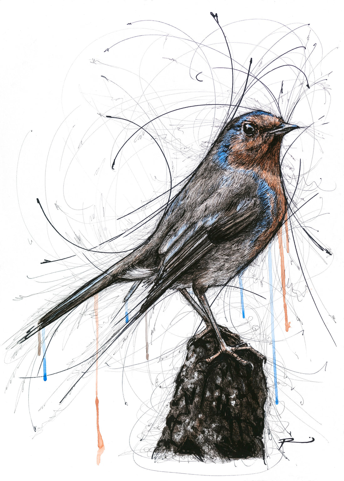 EXHIBITION OPEN ONLINE TODAY!