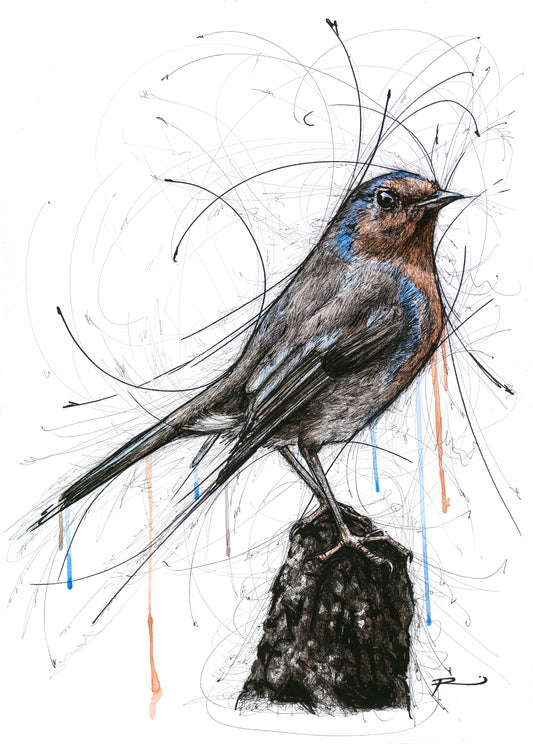 EXHIBITION OPEN ONLINE TODAY!