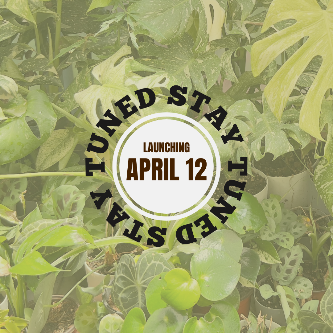Exciting Announcement - GNWC & Plant Boutique collaboration!