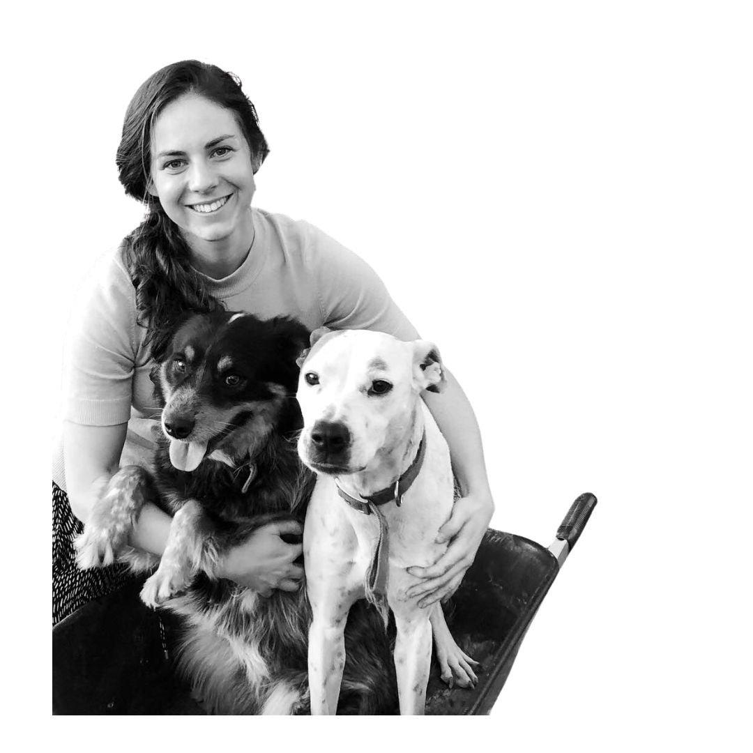 'Meet the Artist' Lisa Kennedy - TODAY 5-7PM