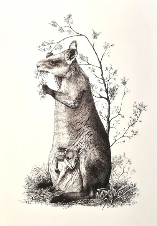 Anne Bowman Prints @ Gallery NWC