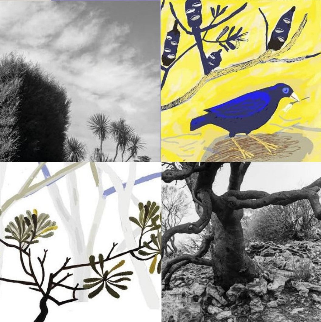 Michael Shirley & Nell Smith - Duo Exhibition