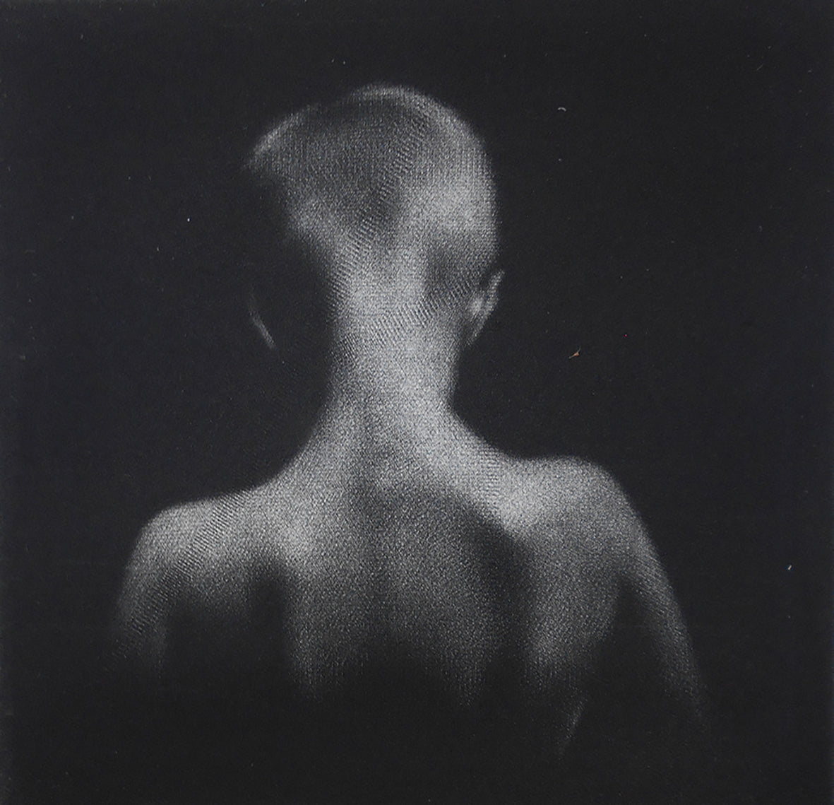 Cleo Wilkinson - Solo Exhibition