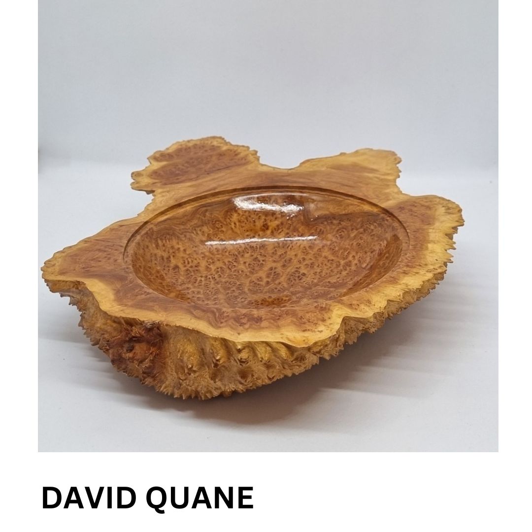David Quane