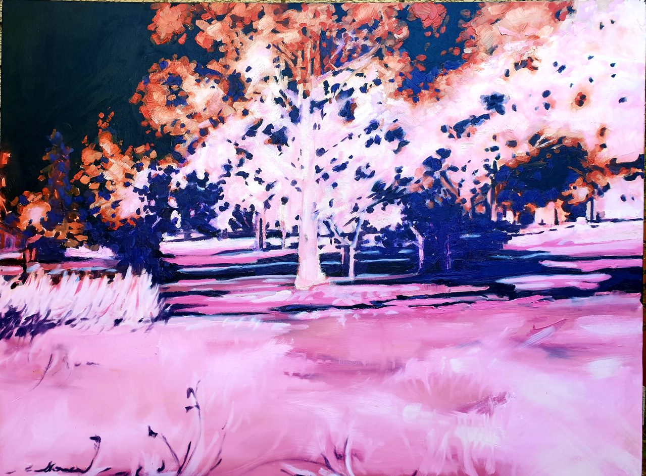 Shanon Bradburn Exhibition - Gallery NWC