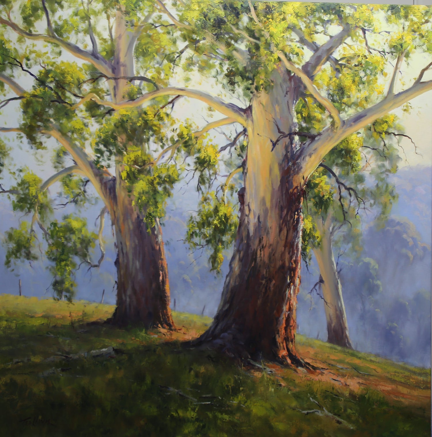 Ted Lewis - 2025 Solo Exhibition