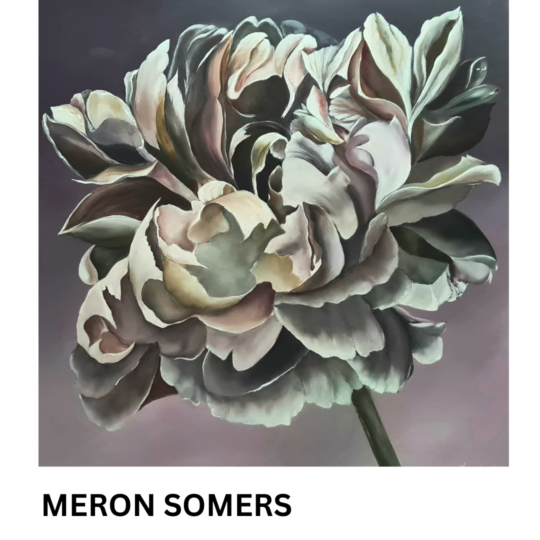 MERON SOMERS