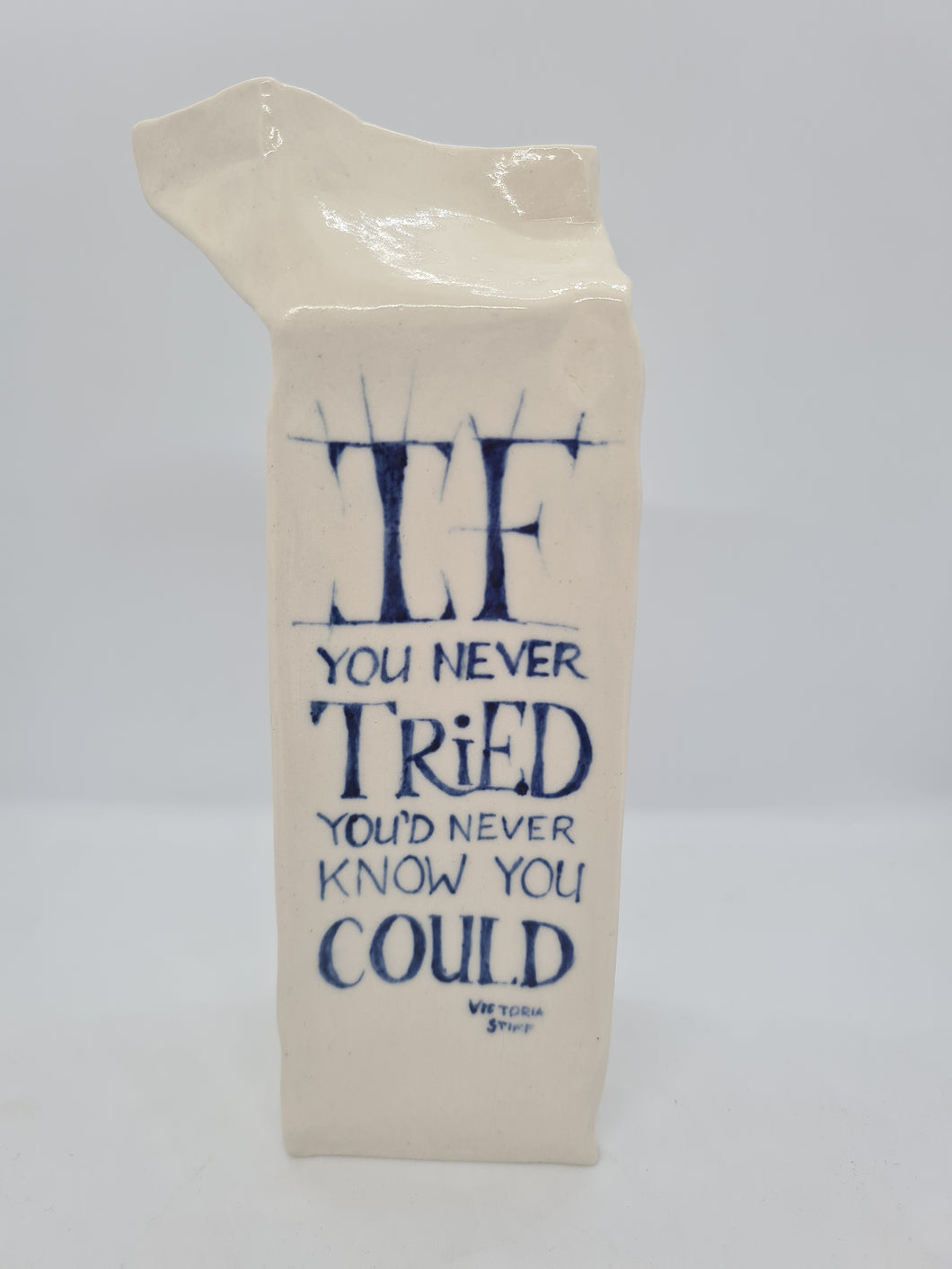 Milk Carton 006 - If you never tried you'd never know you could