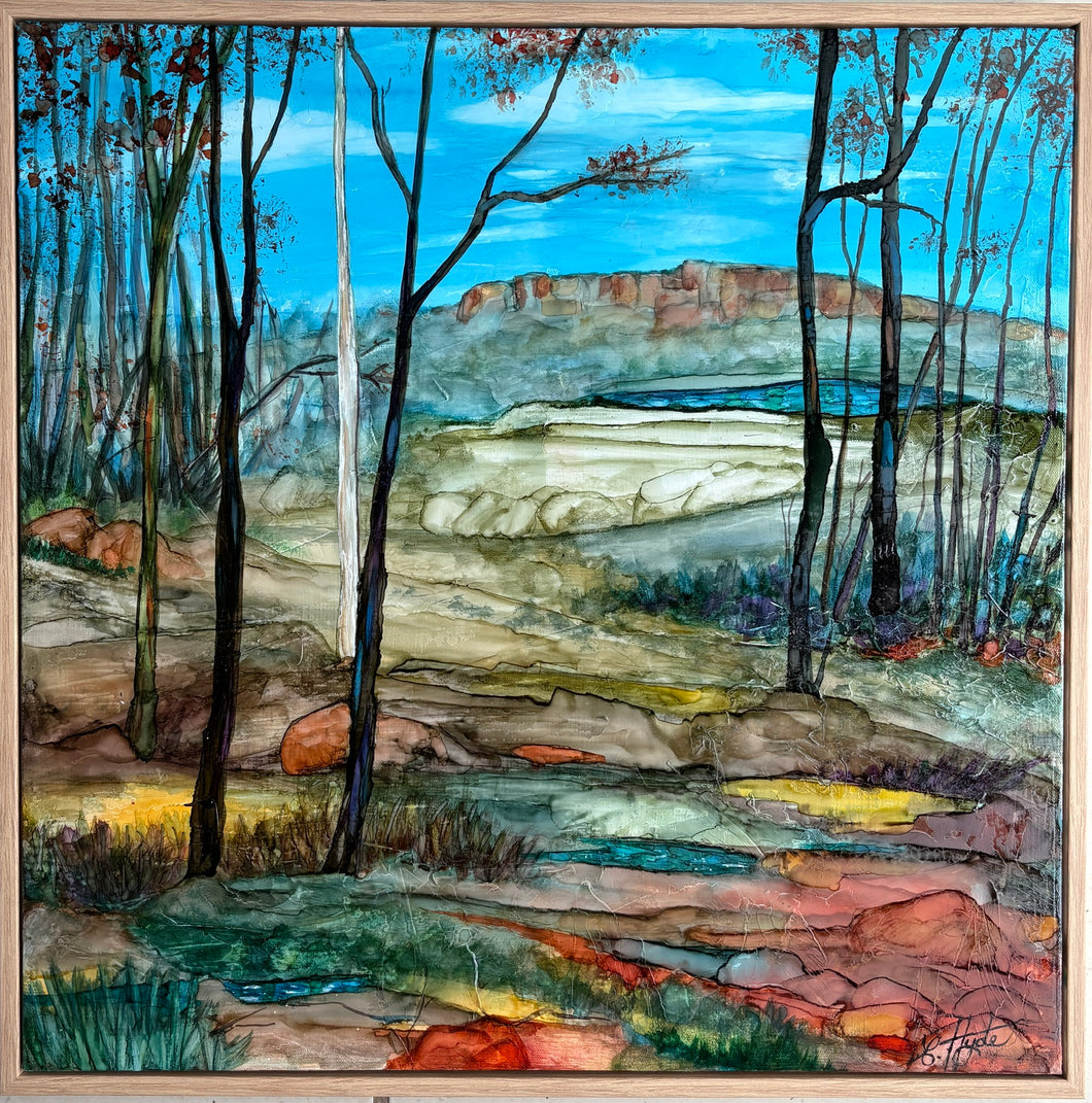 In the Megalong Valley