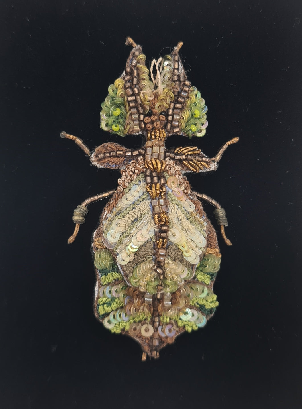 Giant Leaf Insect Brooch