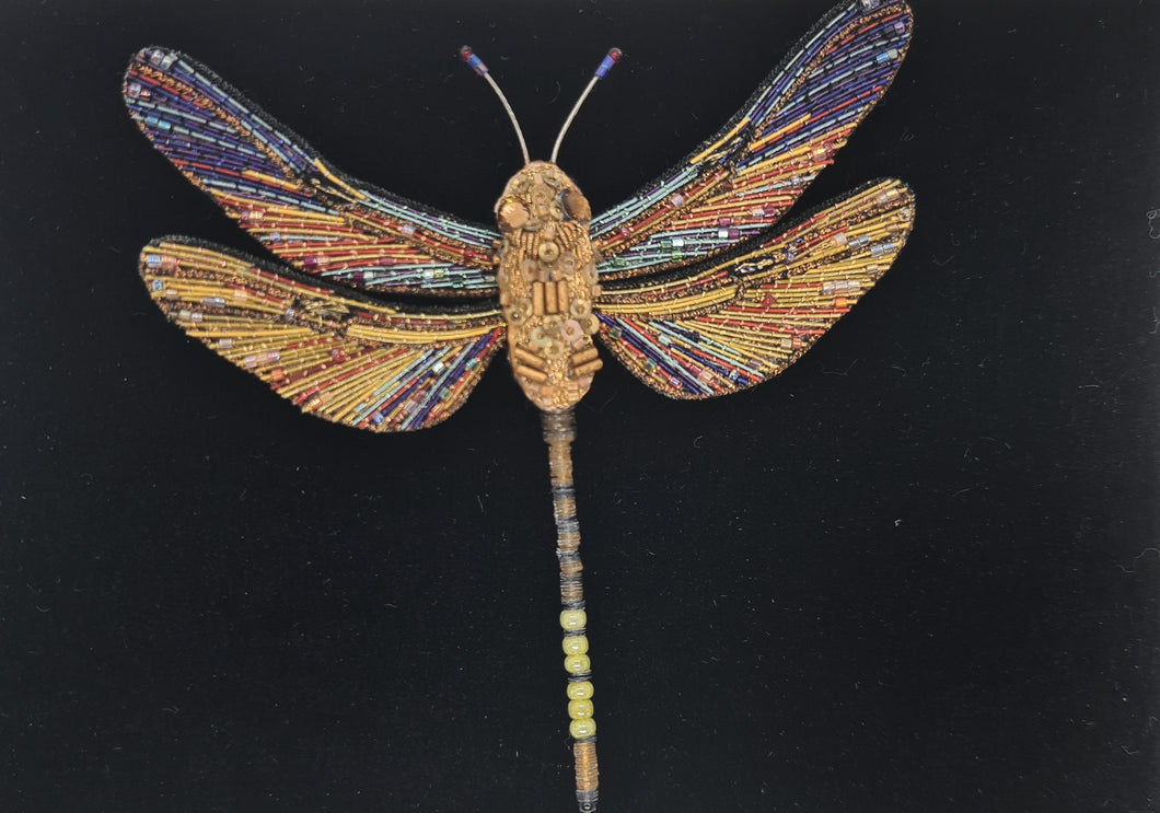 Brown Hawker Dragonfly Brooch