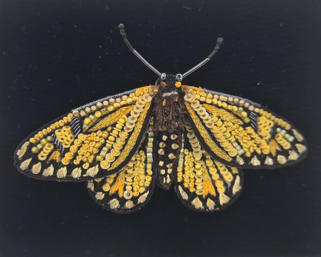 Yellow Coster Butterfly Brooch