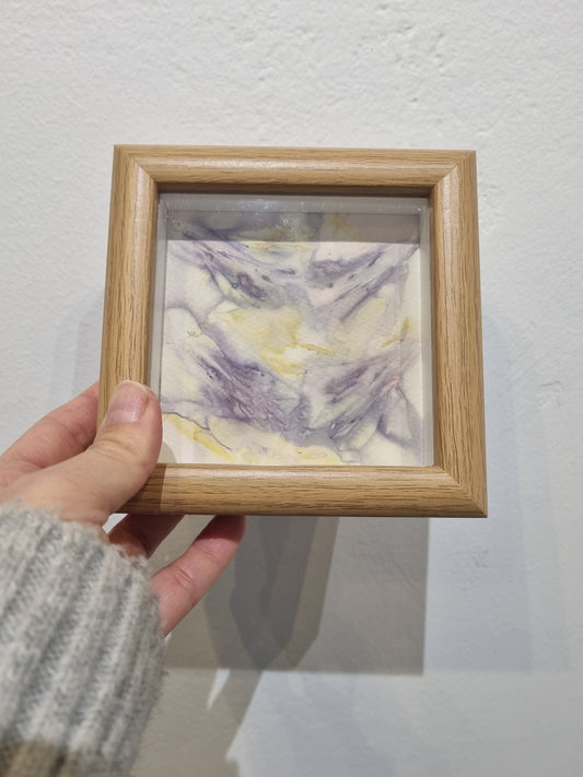 Small Framed Eco Prints
