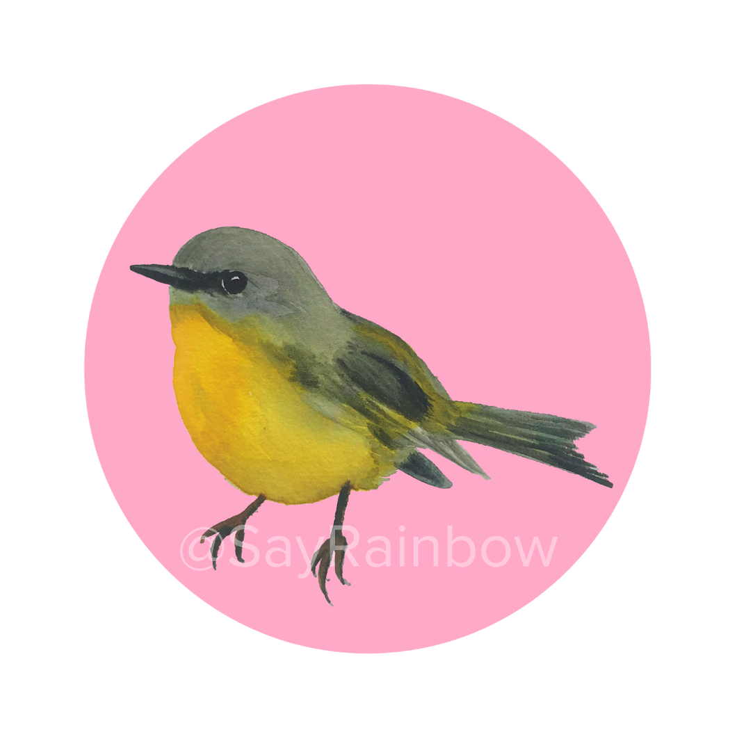 Say Rainbow Card - Eastern Yellow Robin