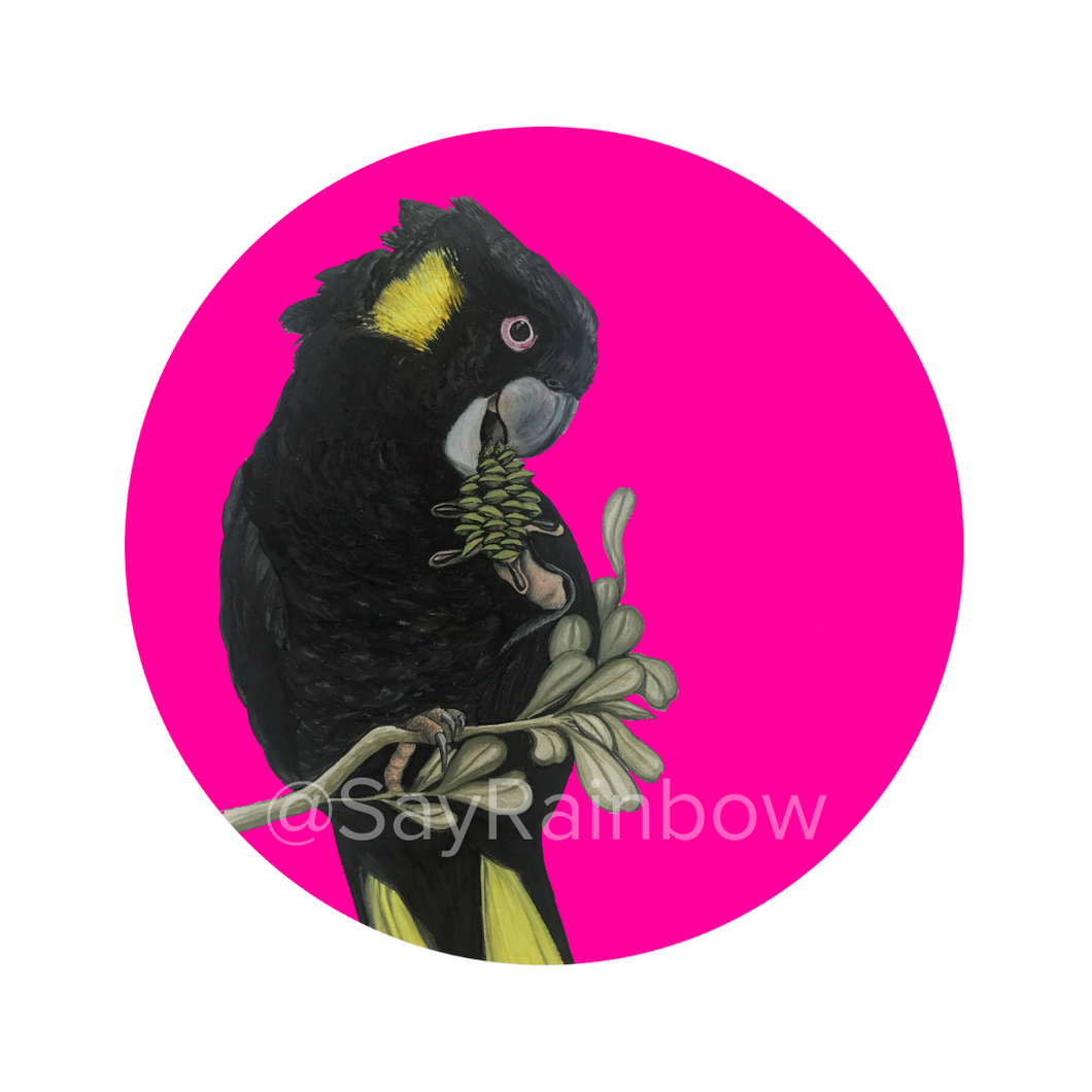 Say Rainbow Card - Yellow-Tailed Black Cockatoo