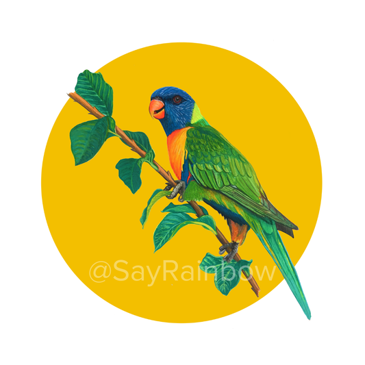Say Rainbow Card - Rainbow Lorikeet