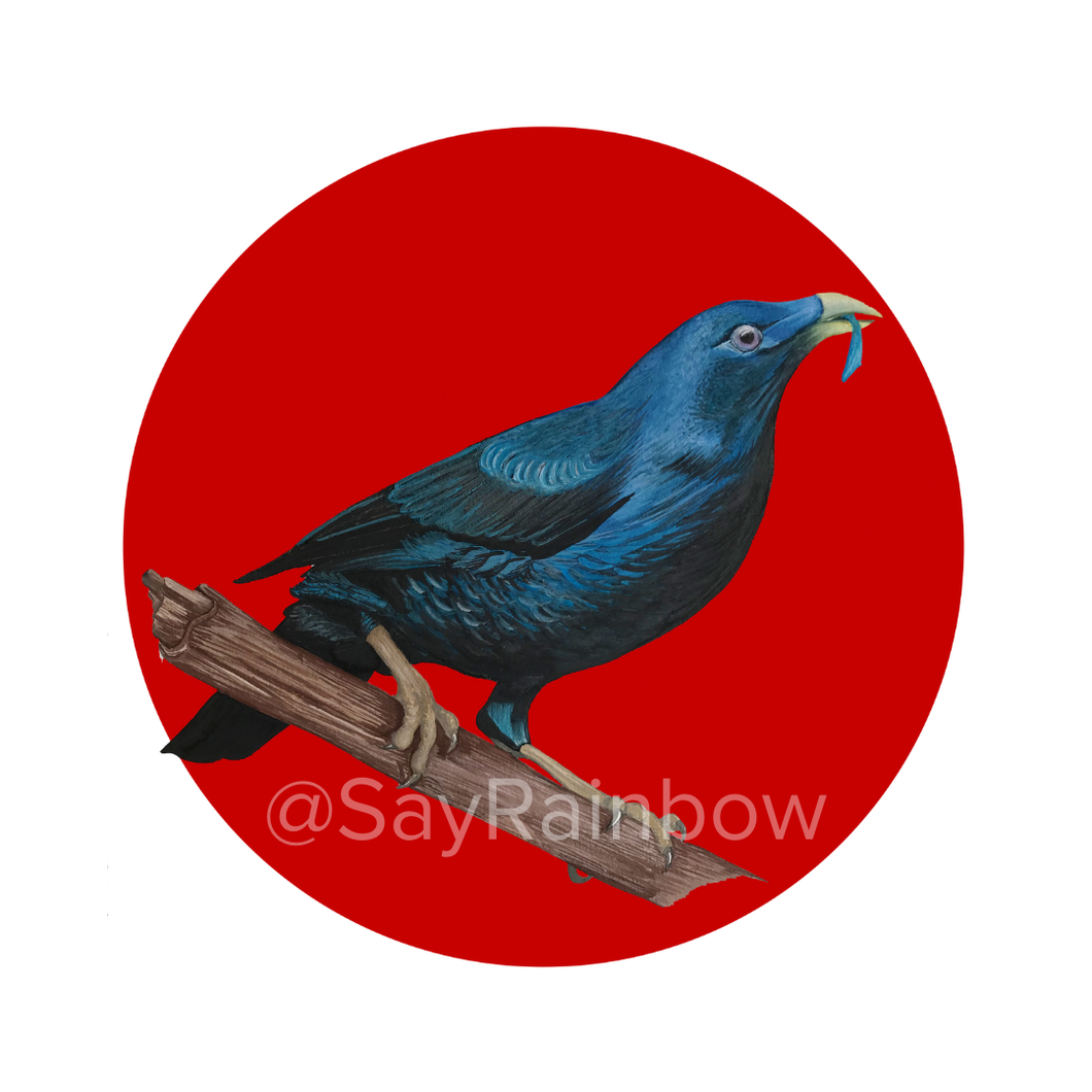 Say Rainbow Card - Satin Bowerbird