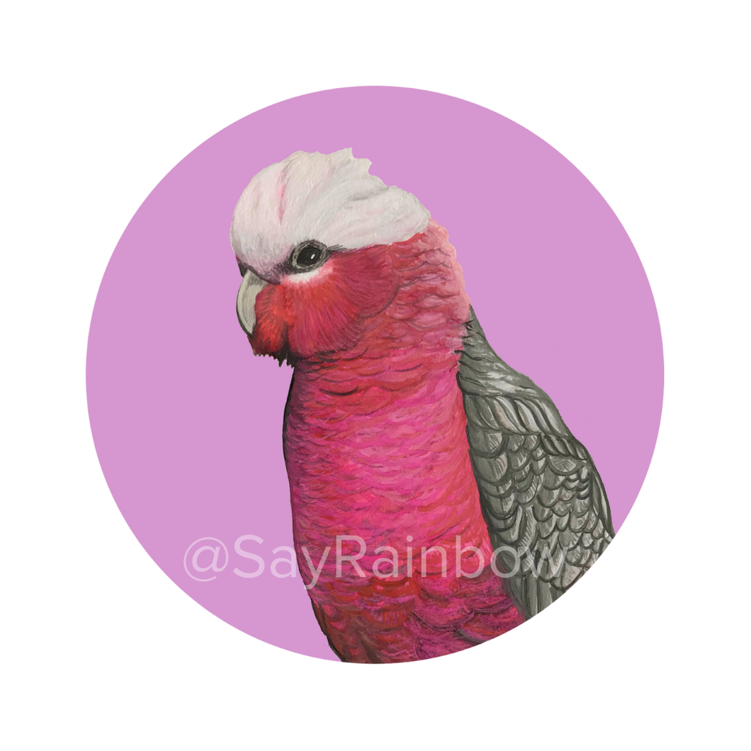 Say Rainbow Card - Galah