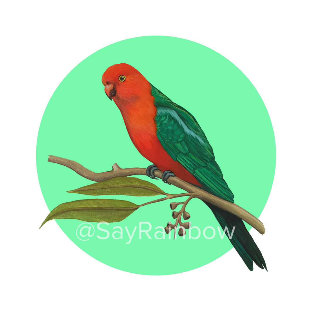 Say Rainbow Card - King Parrot