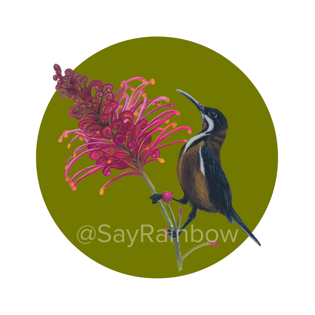 Say Rainbow Card - Eastern Spinebill